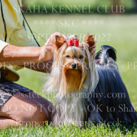 _KC_2345 (2)